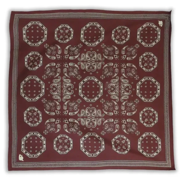 brown paisley scarf