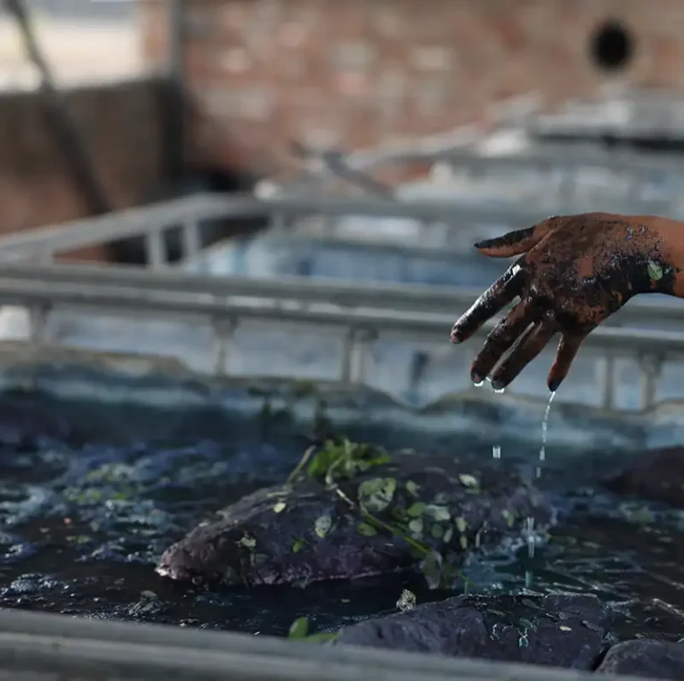 indigo dye