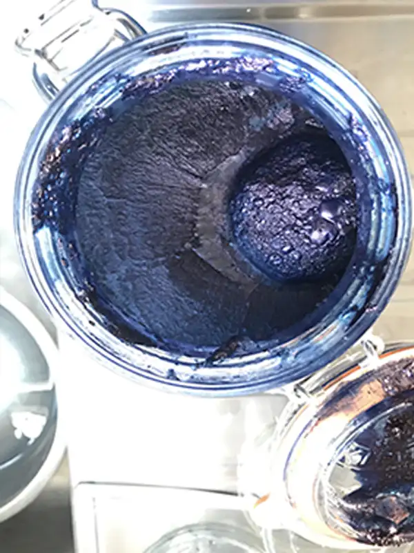 Natural Indigo Dye