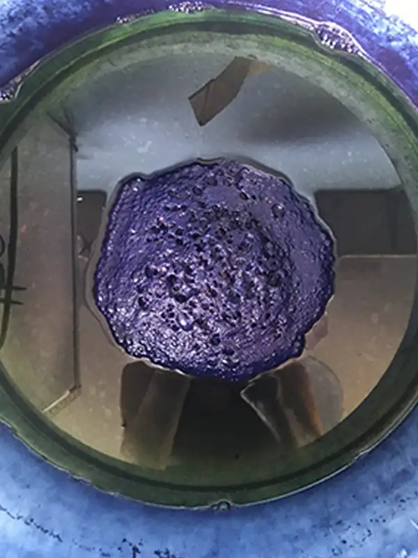 Natural Indigo Dye