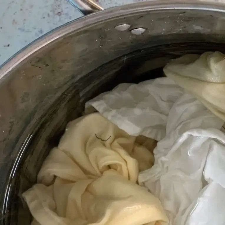 natural fabric dye
