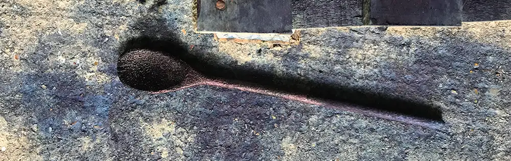 Indigo plant dye