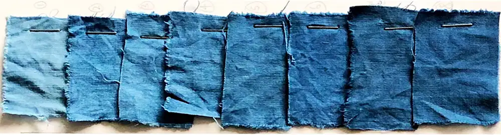 indigo plant dye
