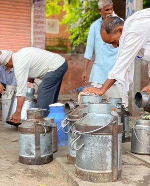 Indian Milk Men